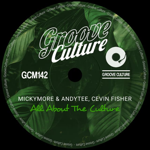 All About the Culture - Extended Mix cover art