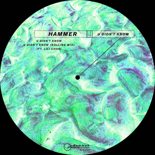 U Didn't Know cover art