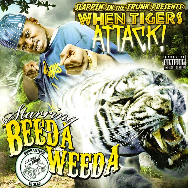 I Do It Major cover art