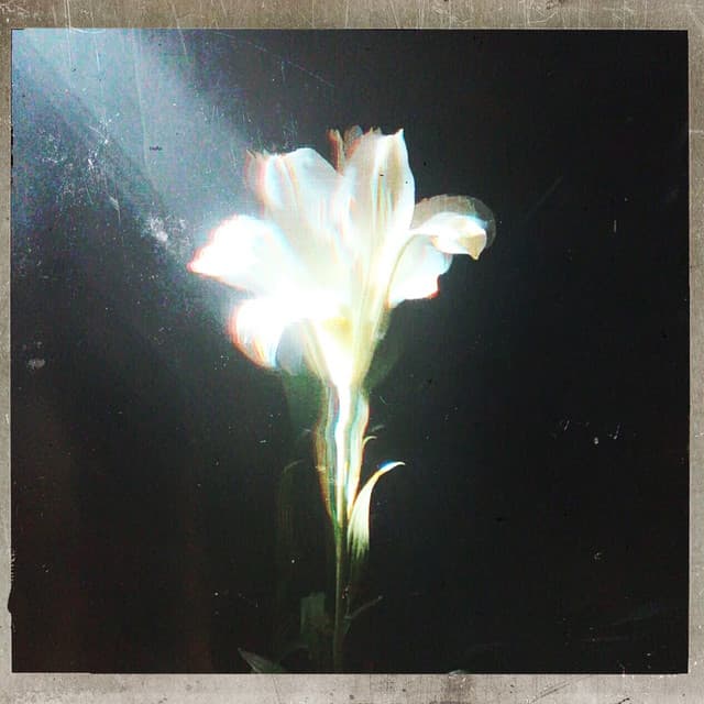 Light That Leads Me (with Bebe Rexha) cover art