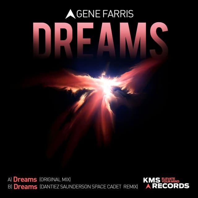 Dreams - Dantiez Saunderson Space Cadet Extended Remix cover art
