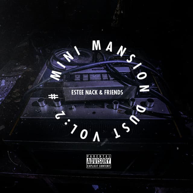 #Minimansiondust, Vol. 2 cover art