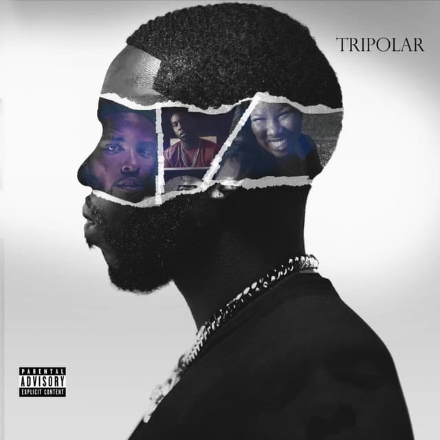 Serve cover art