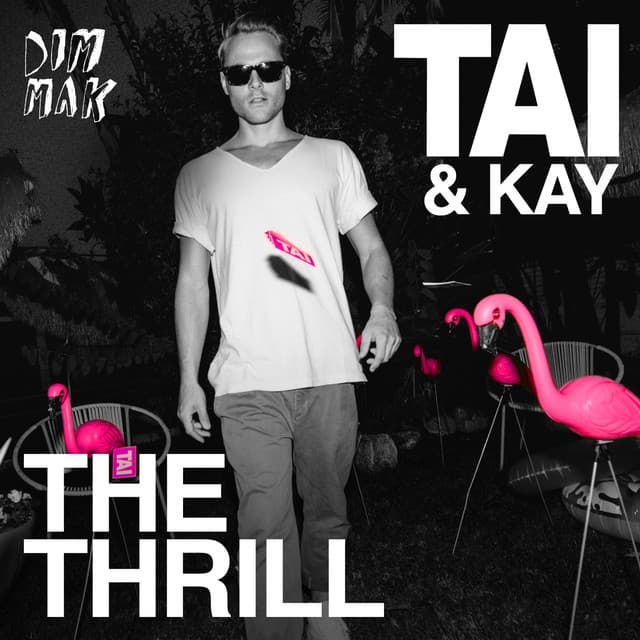 The Thrill - Ziggy & Jamie Westland Remix cover art