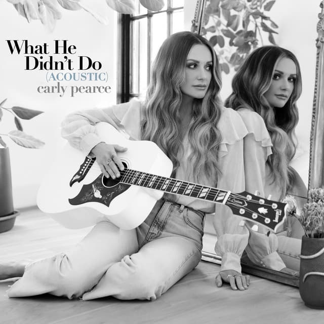 What He Didn't Do cover art