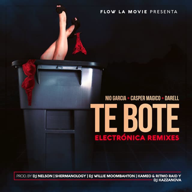 Te Boté - Kameo & Ritmo Raid Remix cover art