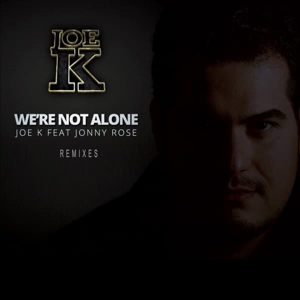 We're Not Alone (Remixes) cover art