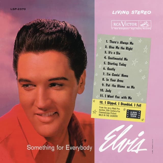 I Slipped, I Stumbled, I Fell cover art