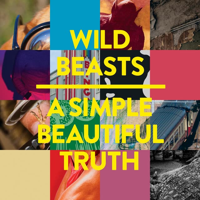 A Simple Beautiful Truth - Djrum Remix cover art