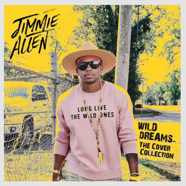 Wild Dreams - The Cover Collection cover art