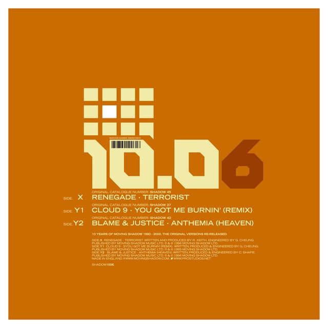 Terrorist / You Got Me Burnin' (Ray Keith & Nookie Remix) / Anthemia (Heaven) cover art