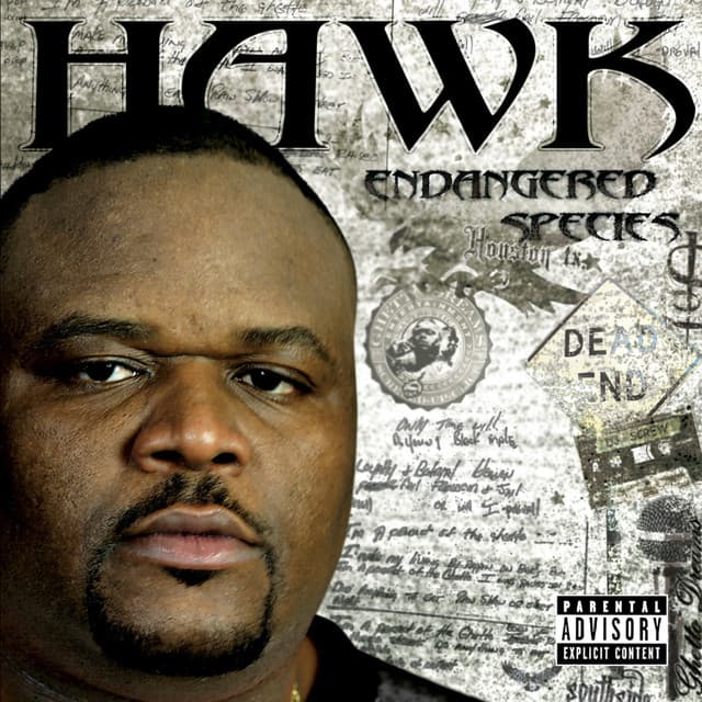 Hawk