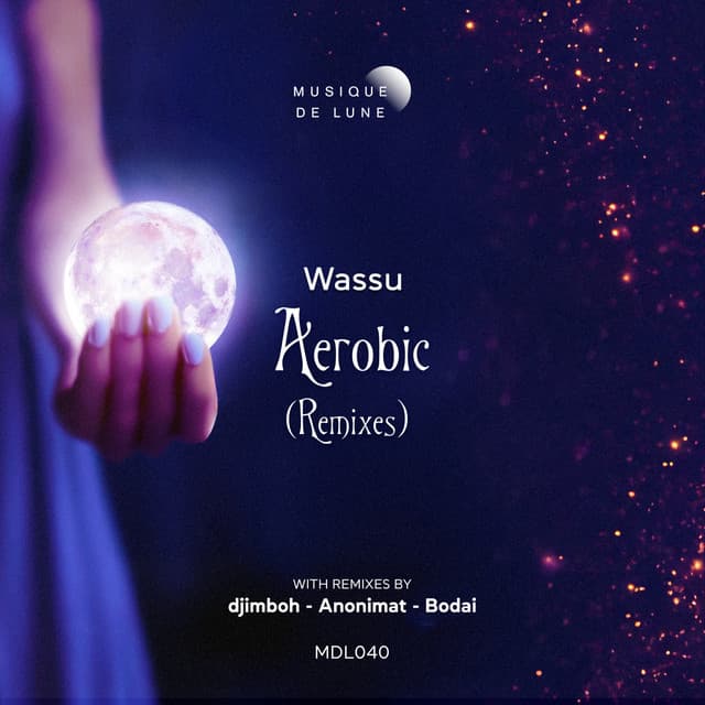 Aerobic - Bodai Remix cover art