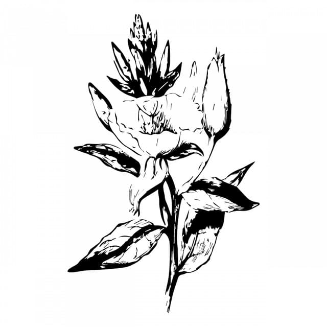 Glimmer Schwarzes Kerosin cover art