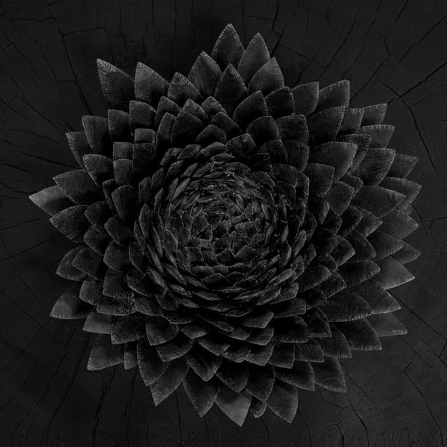 Eyja cover art
