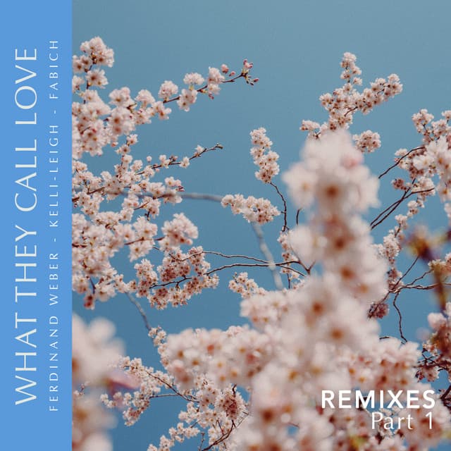What They Call Love - Warren Remix cover art
