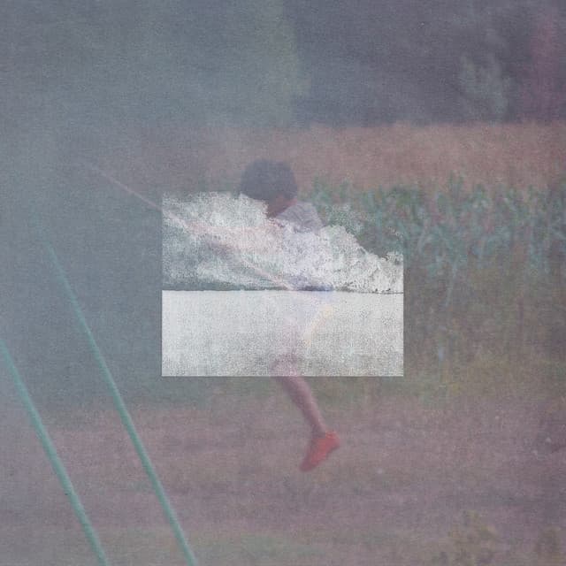 fin cover art