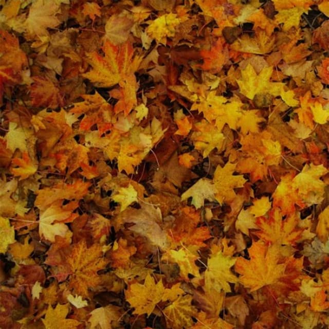 EP (2011 Re-Release) cover art
