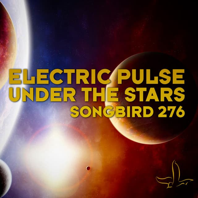 Electric Pulse