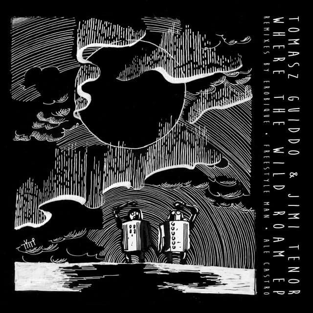 Where The Wild Roam - Erobique Disko Remix cover art