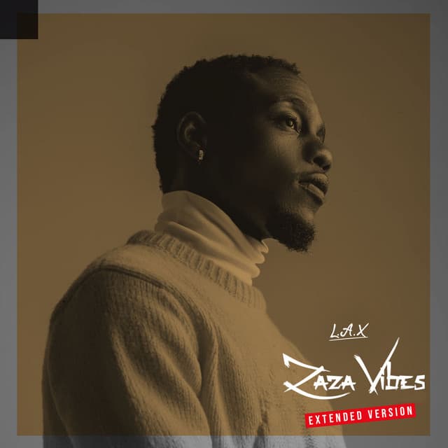 ZaZa Vibes (Extended Version) cover art