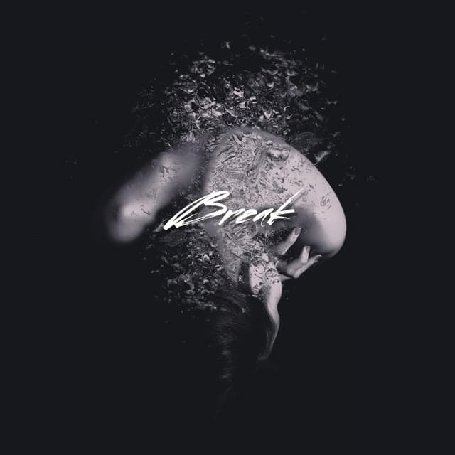 Break cover art
