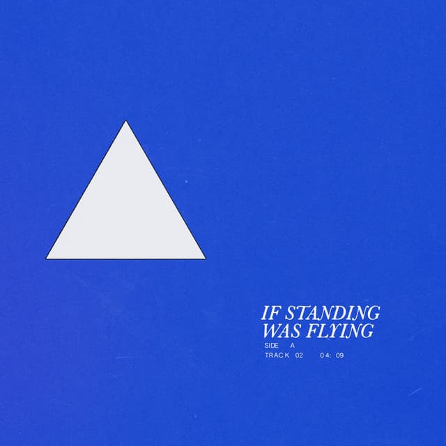 If Standing Was Flying cover art