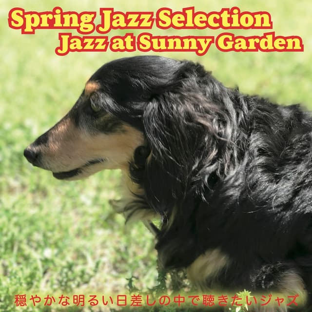 Spring Jazz Selection Jazz at Sunny Garden cover art