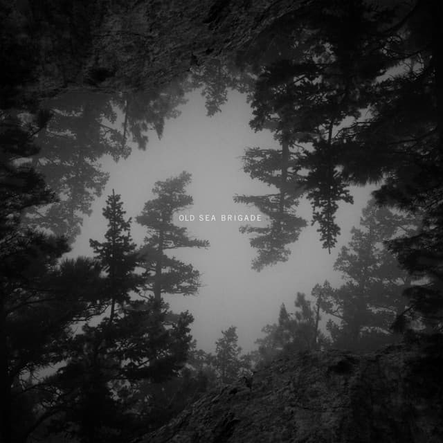 Sleep in the Park cover art