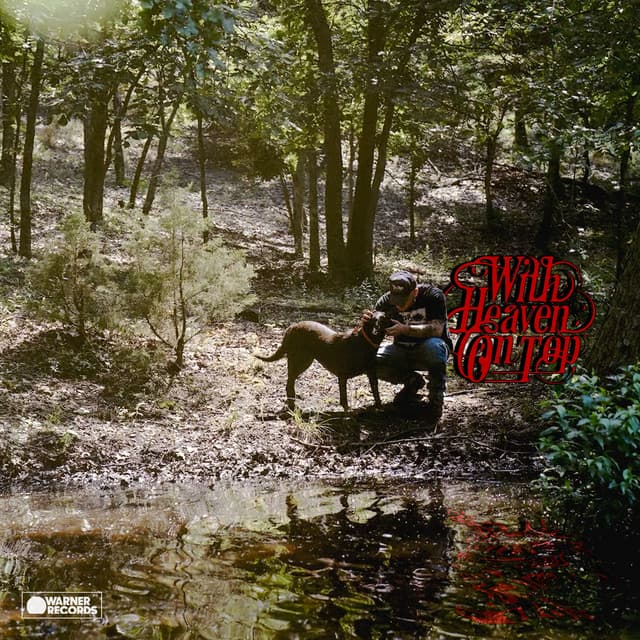 Say Why cover art