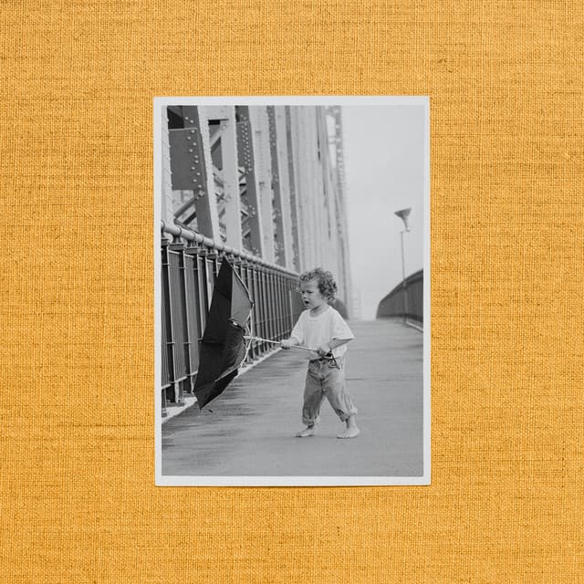 Wallflower cover art