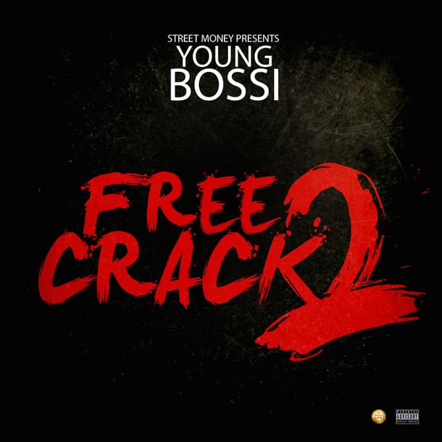 Fake Niggaz cover art