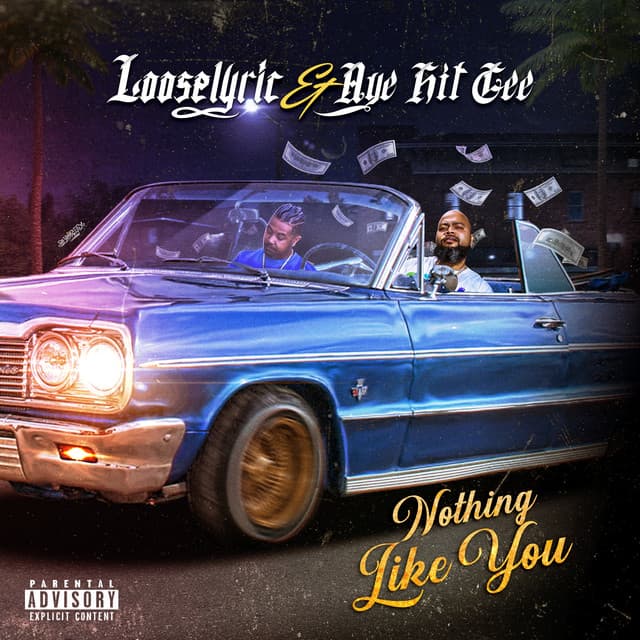 Nothing Like You cover art