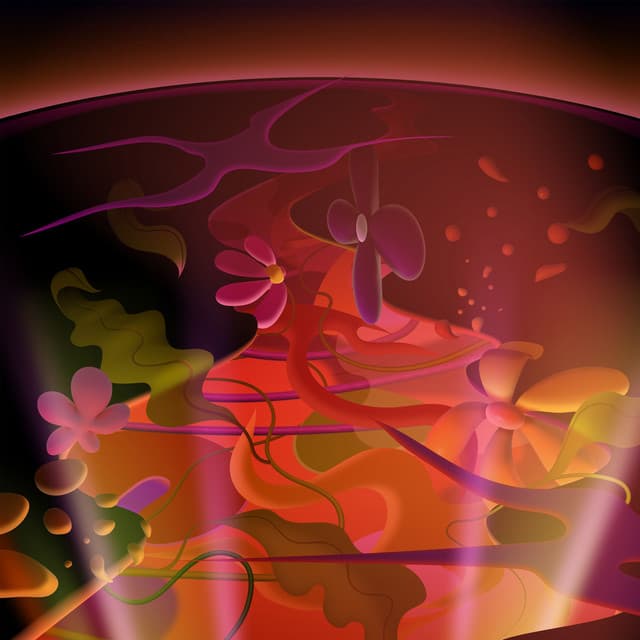 See The Light cover art