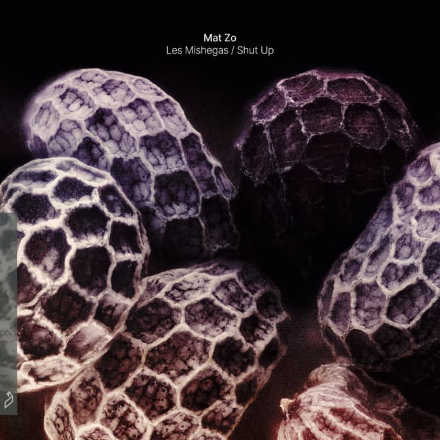 Les Mishegas cover art