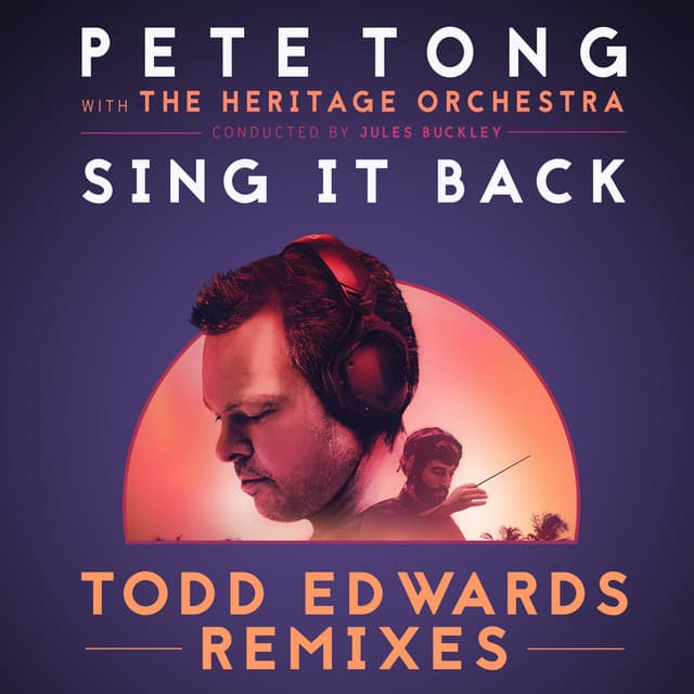 Sing It Back - Todd Edwards Remix / Dub Edit cover art