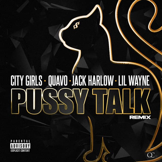 Pussy Talk (feat. Quavo, Lil Wayne, & Jack Harlow) [Remix] cover art