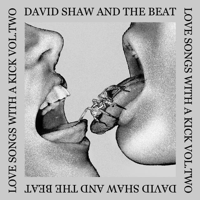 Open Wide cover art