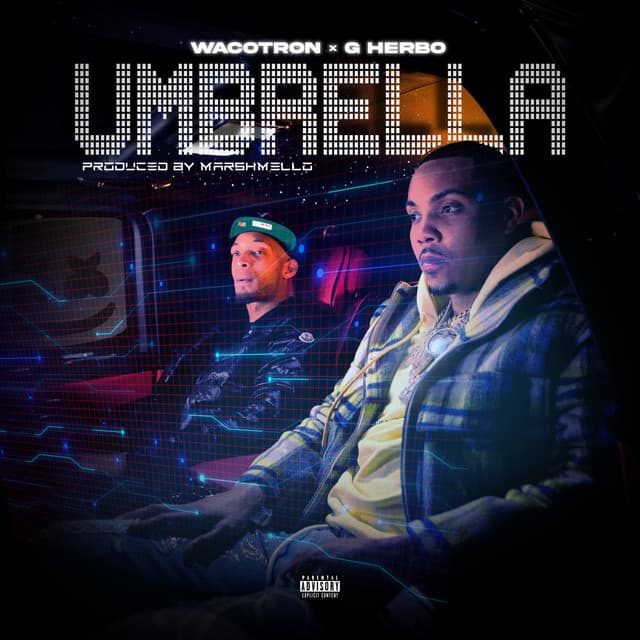 Umbrella cover art
