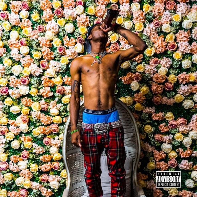Pill Sex 2 (feat. Nu Sace) cover art