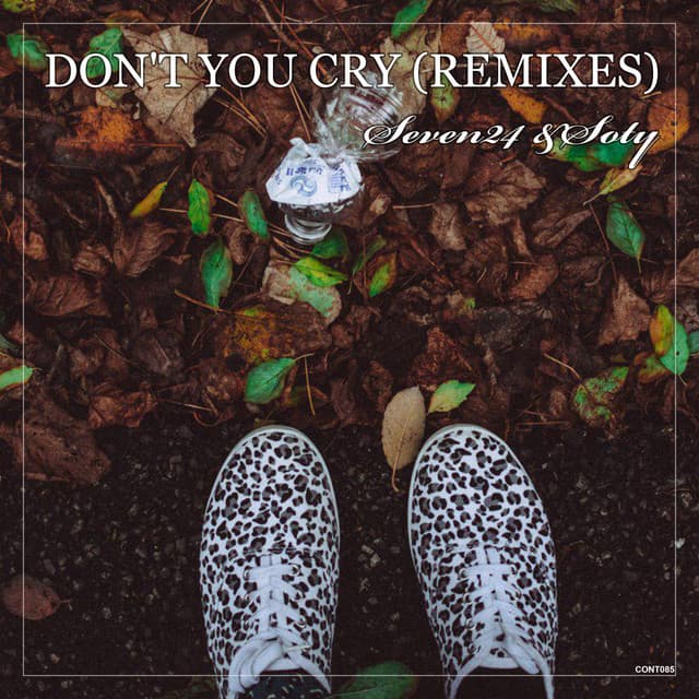 Don't You Cry - Alexander Volosnikov Remix cover art