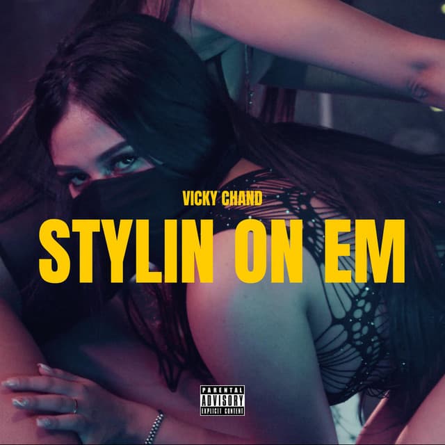 Stylin On Em cover art