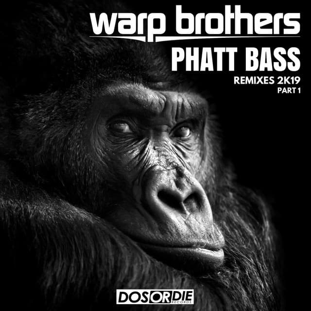 Phatt Bass - David Novacek Extended Remix cover art
