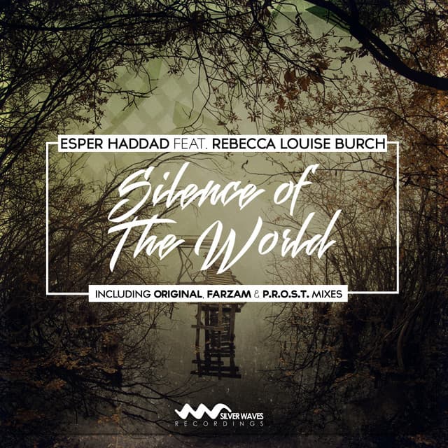 Silence of The World - Original Mix cover art