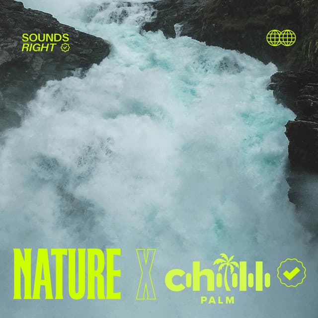Calming Waterfalls cover art
