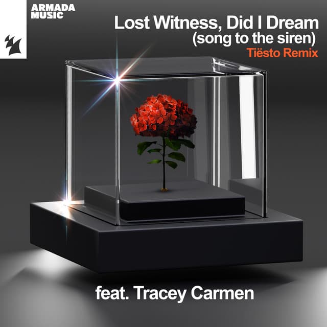 Did I Dream (Song To The Siren) - Tiësto Extended Remix cover art