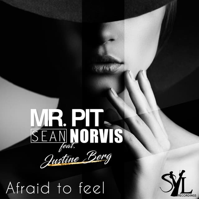 Afraid To Feel - Ibiza Sun of A Beach Remix cover art