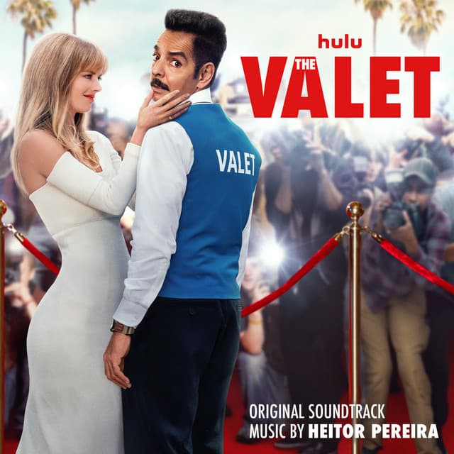 Goodbye Vincent cover art
