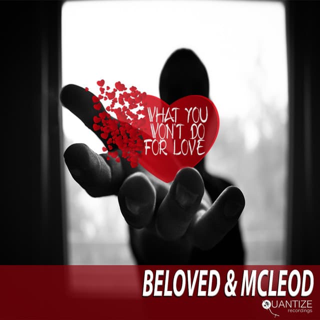 What You Won't Do For Love - Original Mix cover art