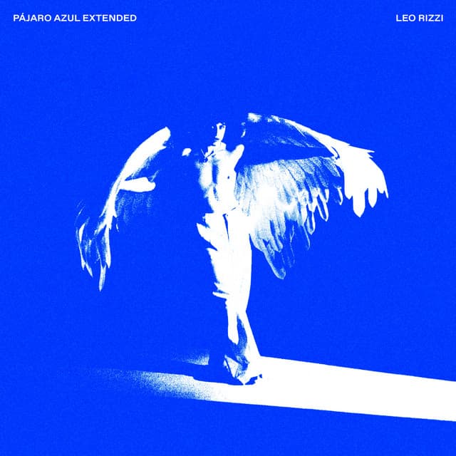 PÁJARO AZUL EXTENDED ˚₊‧꒰ა ☆ ໒꒱ ‧₊˚ cover art